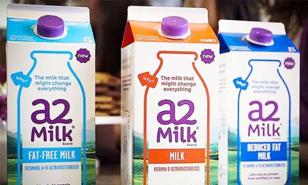 This New Milk Featuring an Old Protein Promises Big Health Benefits