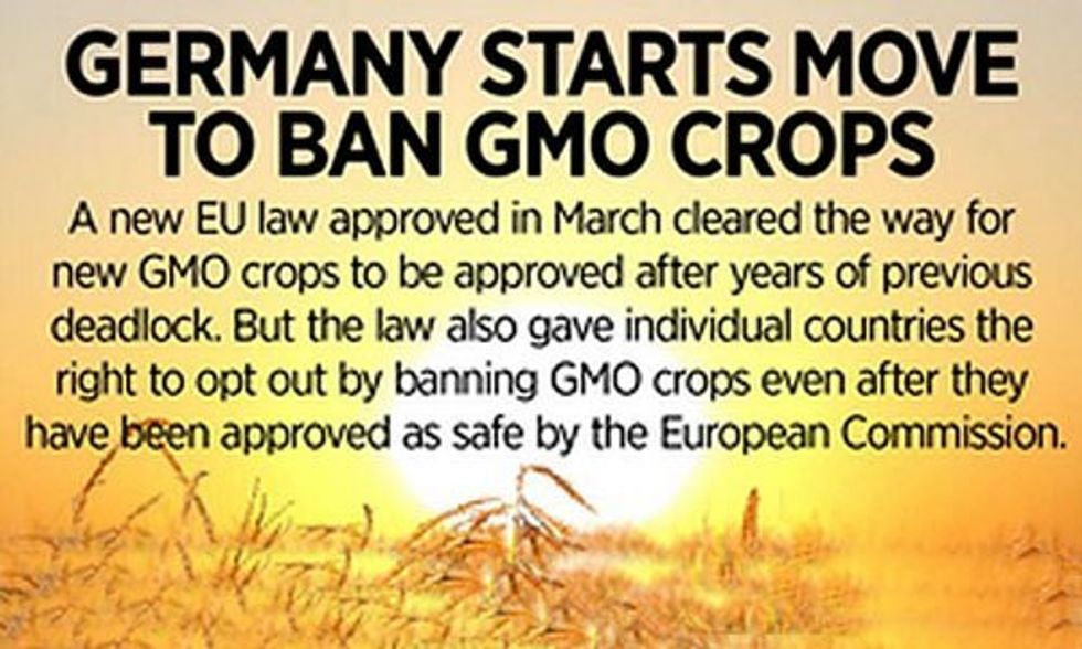 Germany Follows Scotland on Move to Ban GMO Crops
