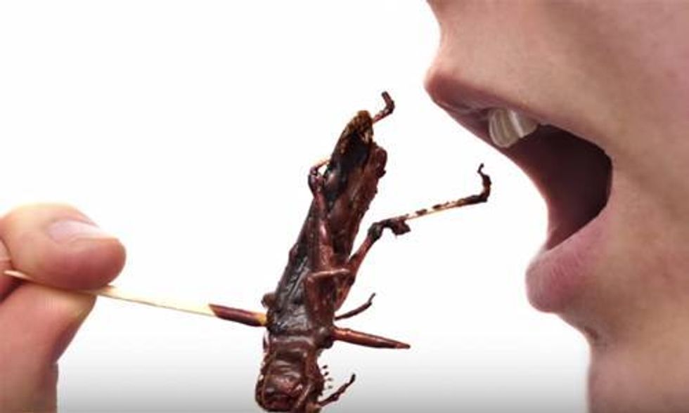 Why You Should Eat Bugs (Spoiler Alert: You Already Are)