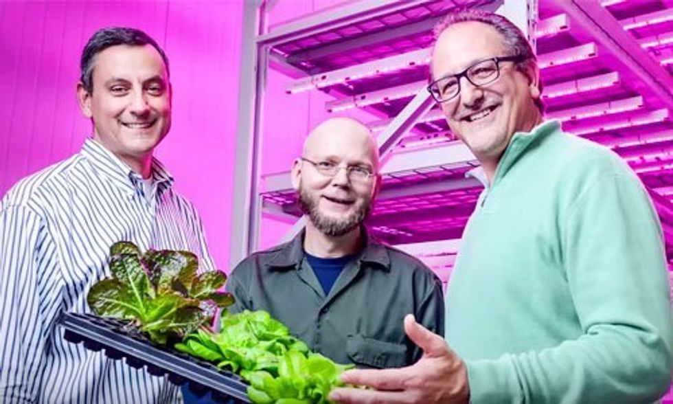 Vertical Farms: The Future of Agriculture?