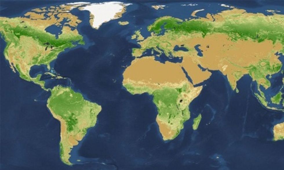 Earth Has Lost Half of Its Trees Since Dawn of Civilization
