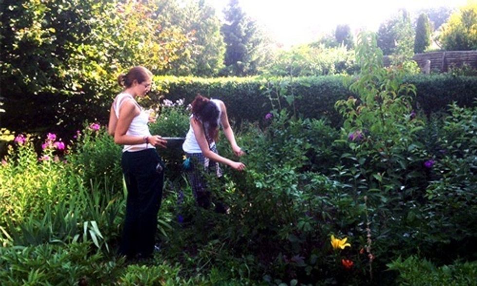 5 Ways to Guarantee a Successful WWOOFing Experience