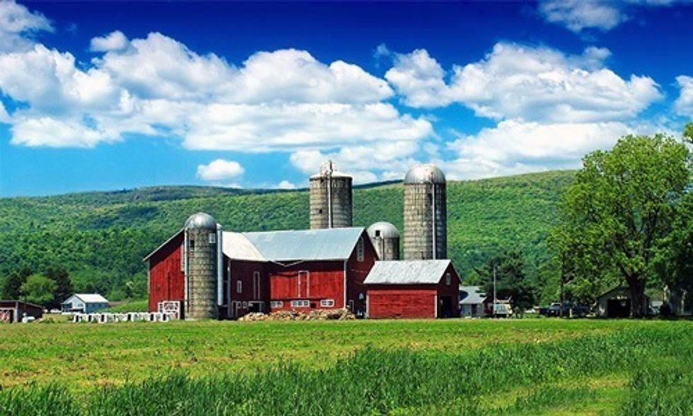 Trace Your Food Back to the Farm With RealTimeFarms.com