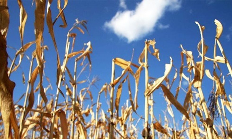 5 Next Steps in the Big Food Fight