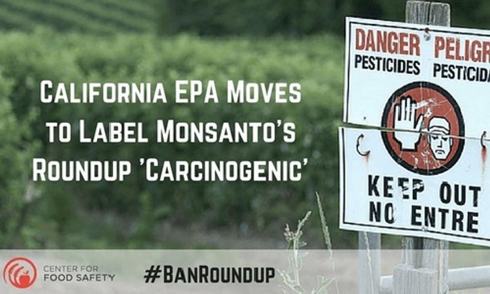 California Becomes First State to Label Monsanto's Roundup as a Carcinogen