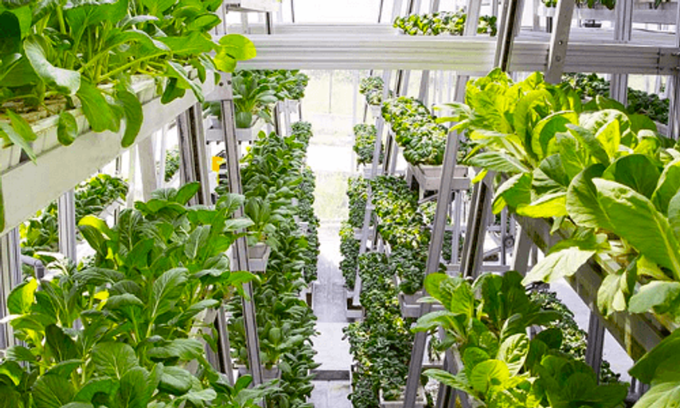 World's First Hydraulic-Driven Vertical Farm Produces 1 Ton of Vegetables Every Other Day