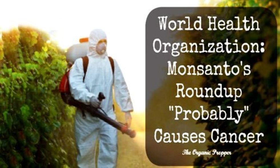 Glyphosate in Monsanto's Roundup Is Linked to Cancer, But Big Ag Wants it in Your Food Anyway