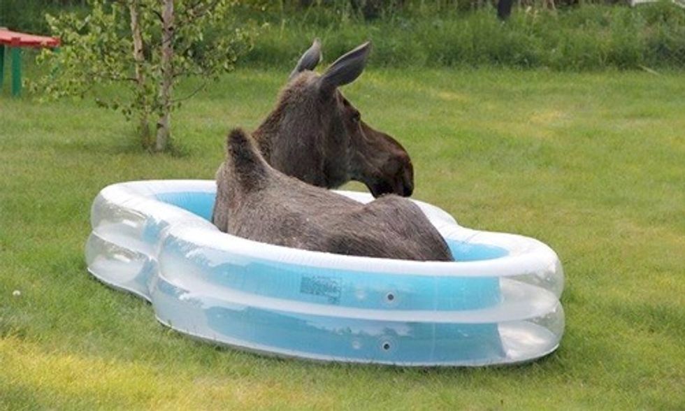 It's Official: Summer 2015 Hottest Ever in Recorded History