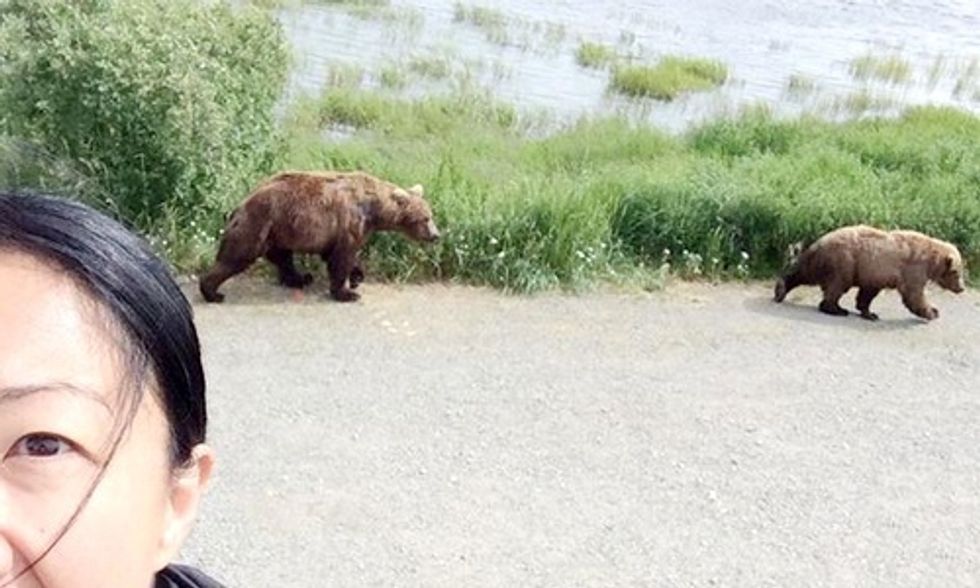 #BearSelfies Force Colorado Park to Close