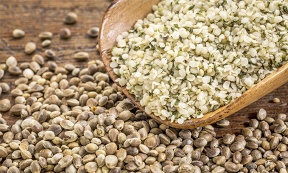 6 Reasons Why You Should Eat Hemp Seeds