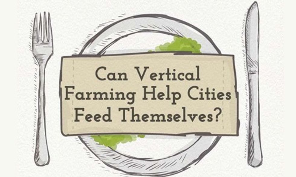 The Future of Vertical Farming
