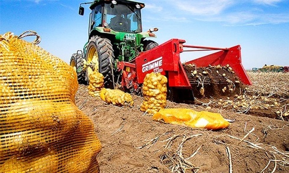 Northern Ireland Bans GMO Crops