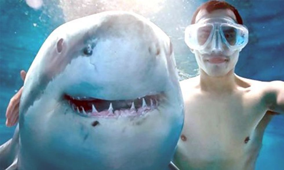 More People Have Died This Year from Selfies Than Sharks