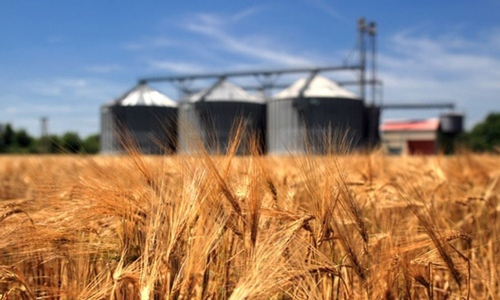 Big Business' Role in Creating a Sustainable Food Supply