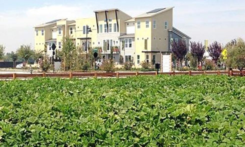 4 Innovative Urban Farms Changing the American Landscape