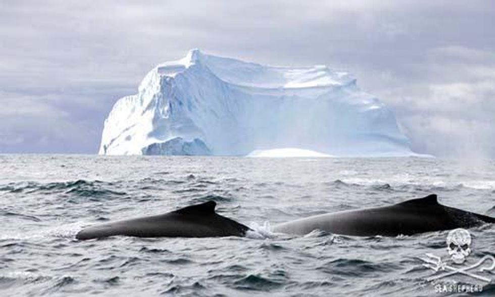 Paul Watson: If the Ocean Dies, We Die!