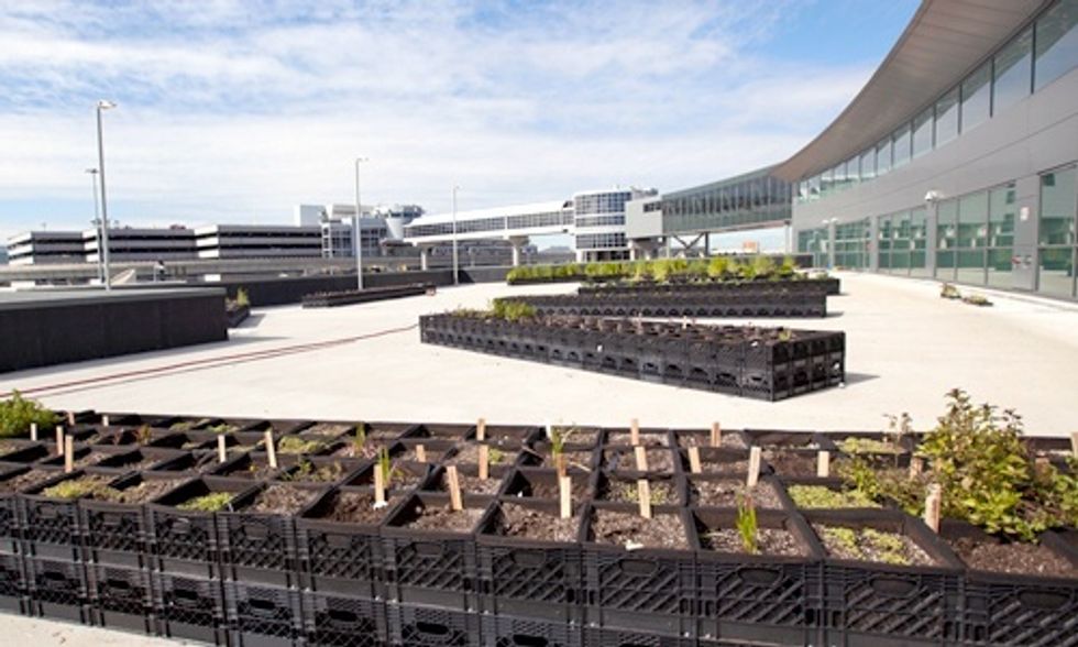 JetBlue Opens Urban Farm at JFK Airport to Feed Passengers and Local Food Banks