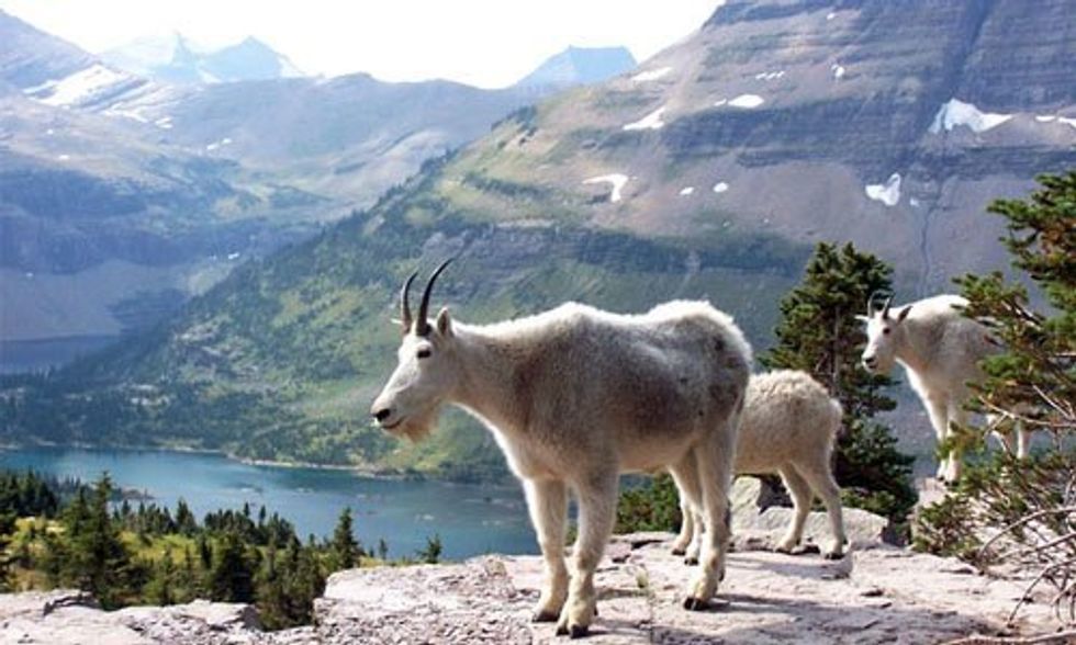 Fracking: Putting Our National Parks at Risk