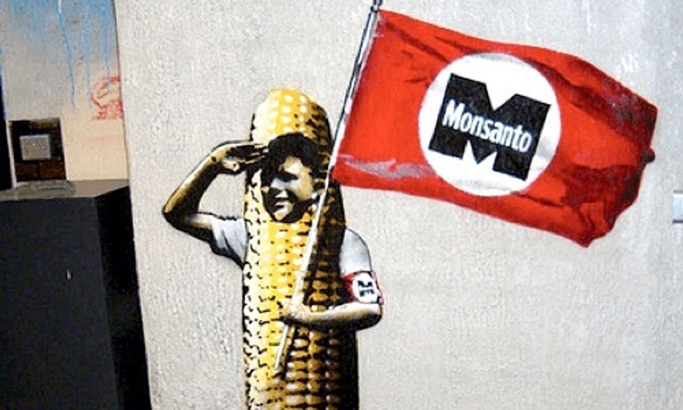 Europe GMO Debate Not Over: EU Votes to Allow GMO Imports Despite Opposition