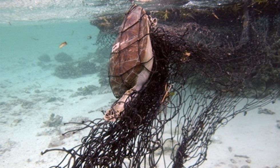 Scuba Divers' Haunting Photos Show Devastating Impact of Ocean Trash on Marine Life