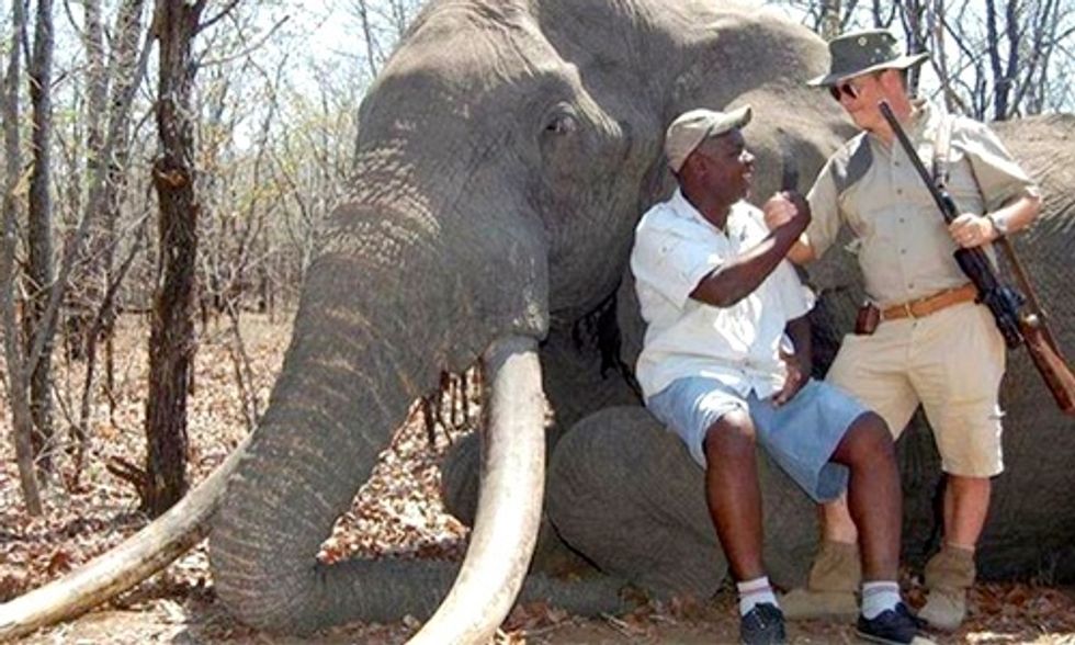 German Hunter Pays $60,000 to Kill One of Africa's Biggest Elephants