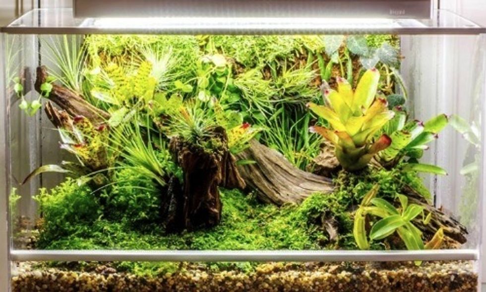World's First Smart Microhabitat Grows Just About Anything