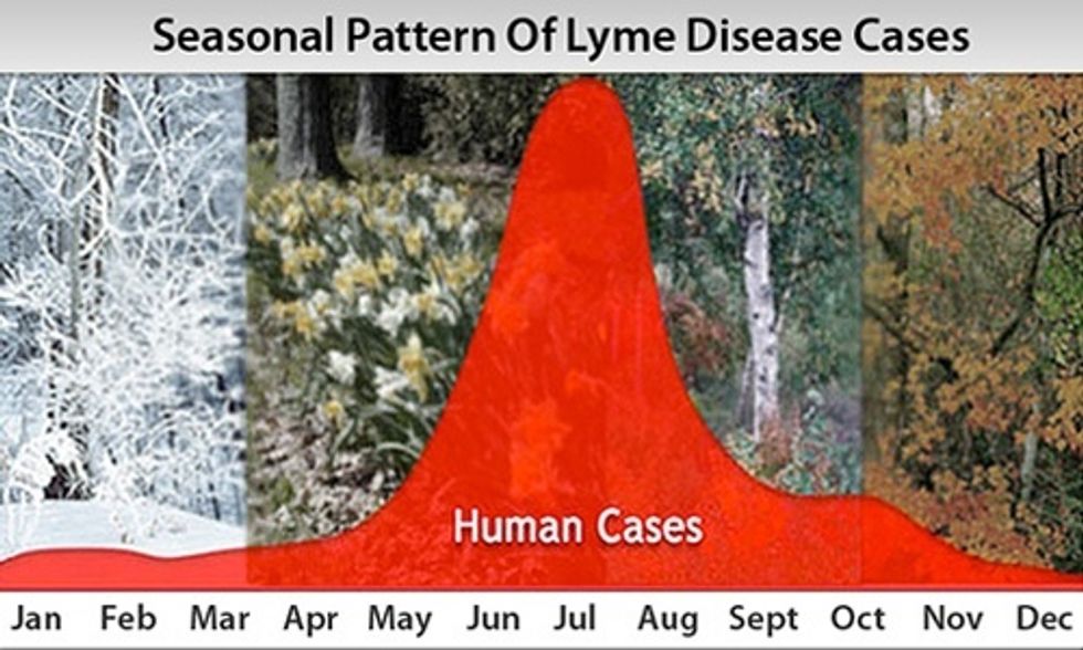 Dr. Mark Hyman: 7 Ways to Tackle Lyme Disease