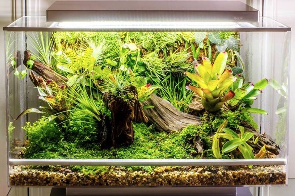 World's First Smart Microhabitat Grows Just About Anything - EcoWatch