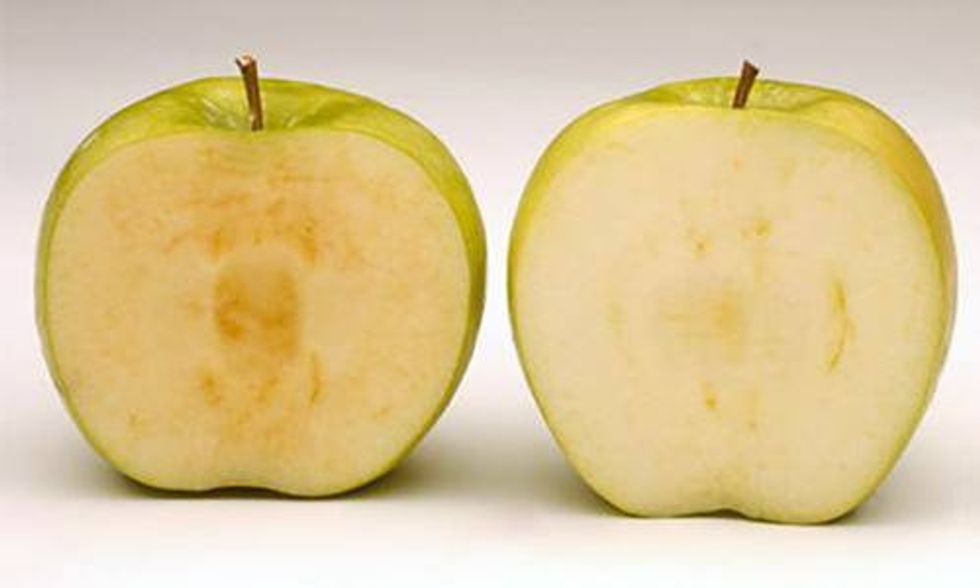 3 Companies Say 'No' to GMO Arctic Apples
