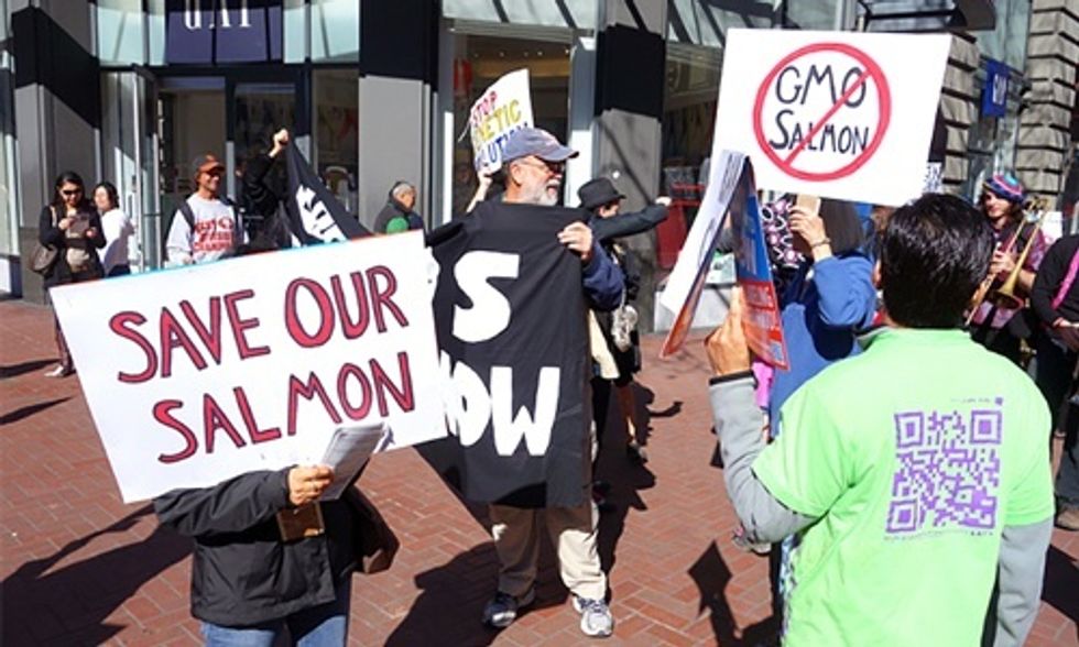 Study Exposes AquaBounty’s Bogus Growth Claims on GMO Salmon