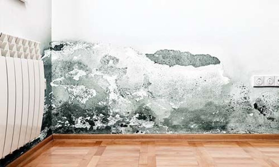 6 Ways Your Home Can Make You Sick