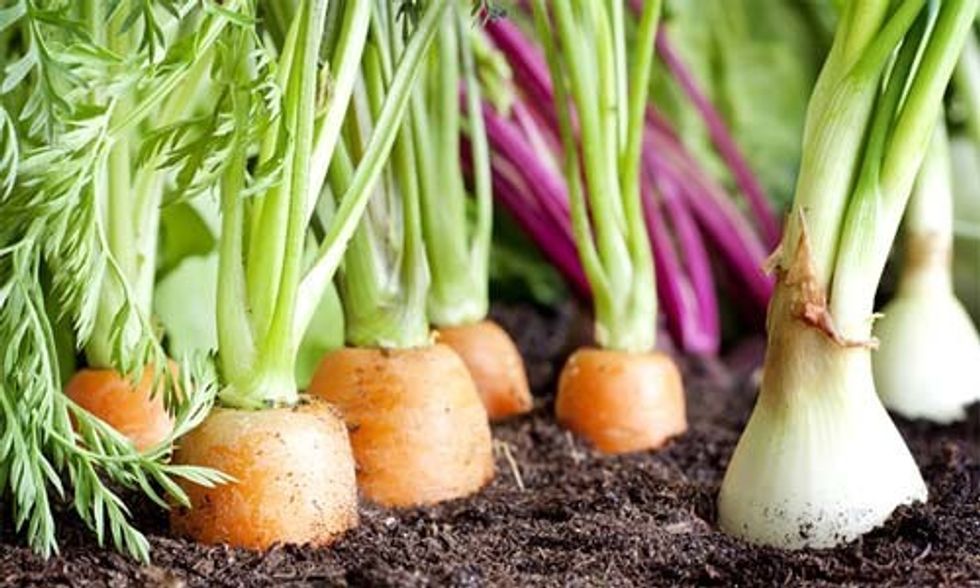 You Choose: Do You Want to Eat Food Produced by Degenerative or Regenerative Agriculture?
