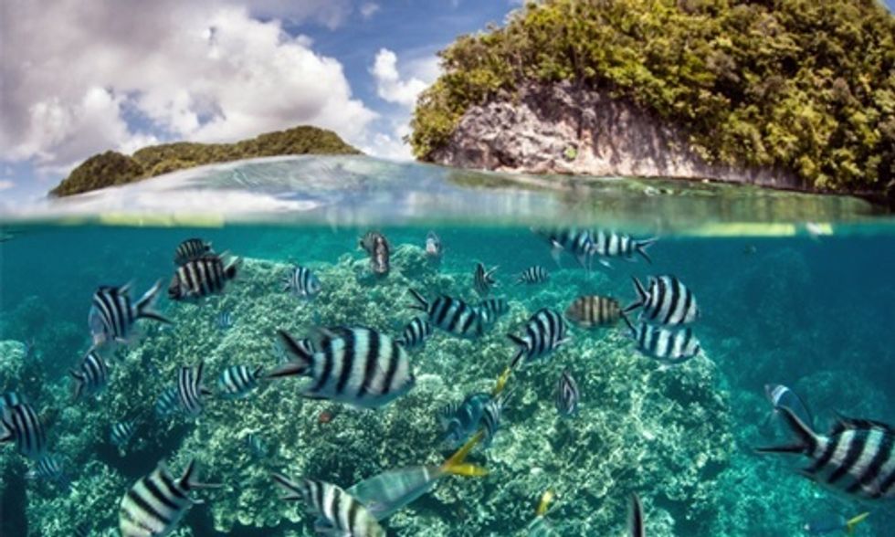 Palau Creates One of the World's Largest Marine Sanctuaries