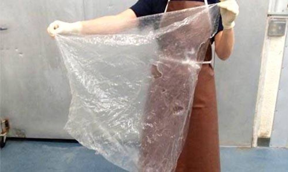 Another Whale Dead From Ingesting a Plastic Bag