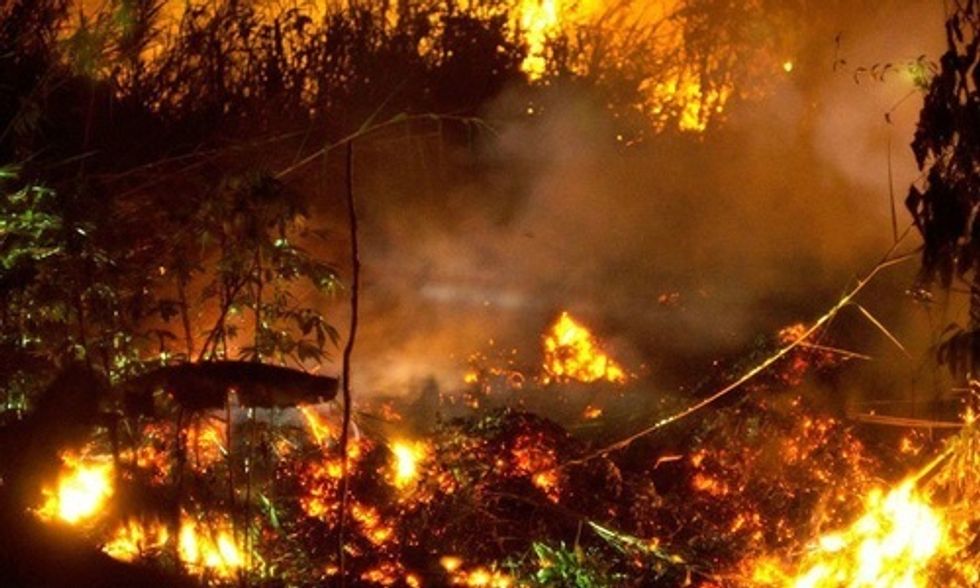 4 Ways to Stop the 'Biggest Environmental Crime of the 21st Century'