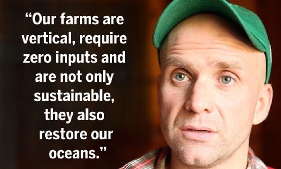 Underwater Vertical Seaweed Farm Restores Our Oceans While Providing Food and Fuel Source