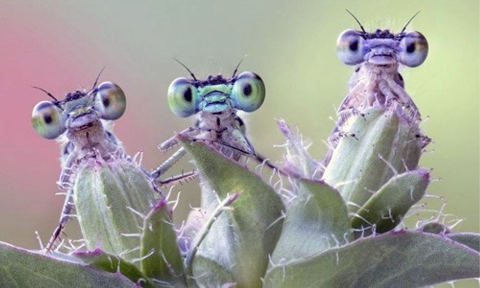 14 Stunning Nature Photos That Won Siena Contest From 15,000 Submissions