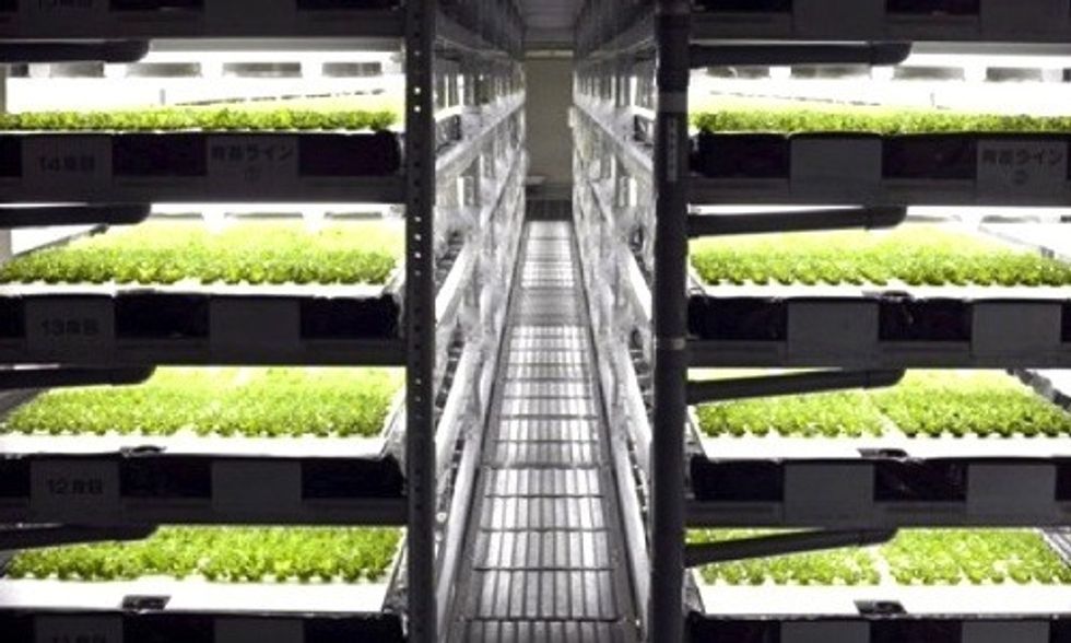 World's First Robotic Farm to Produce 30,000 Heads of Lettuce Per Day