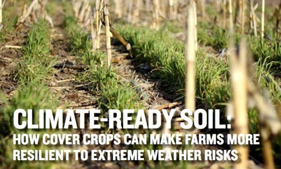 How Healthy Soils Can Help in the Fight Against Climate Change