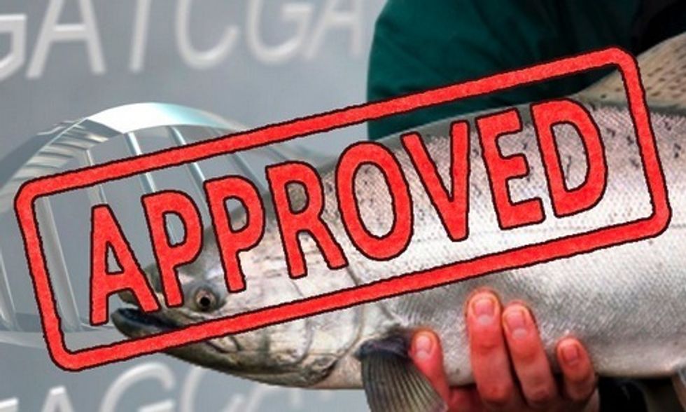 Food Advocacy Group to Sue FDA Over Controversial Approval of GMO Salmon