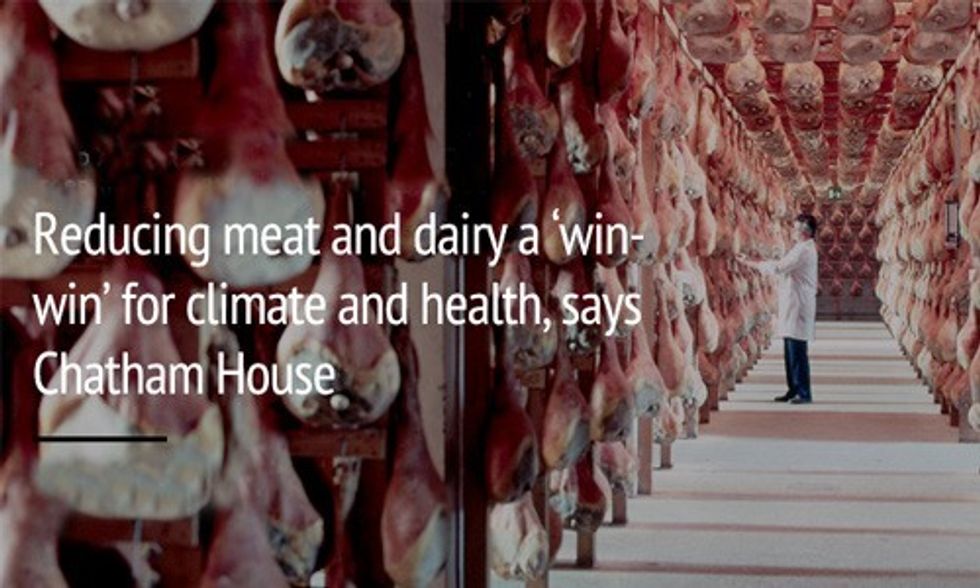 Reducing Meat and Dairy a ‘Win-Win’ for the Climate and Your Waistline