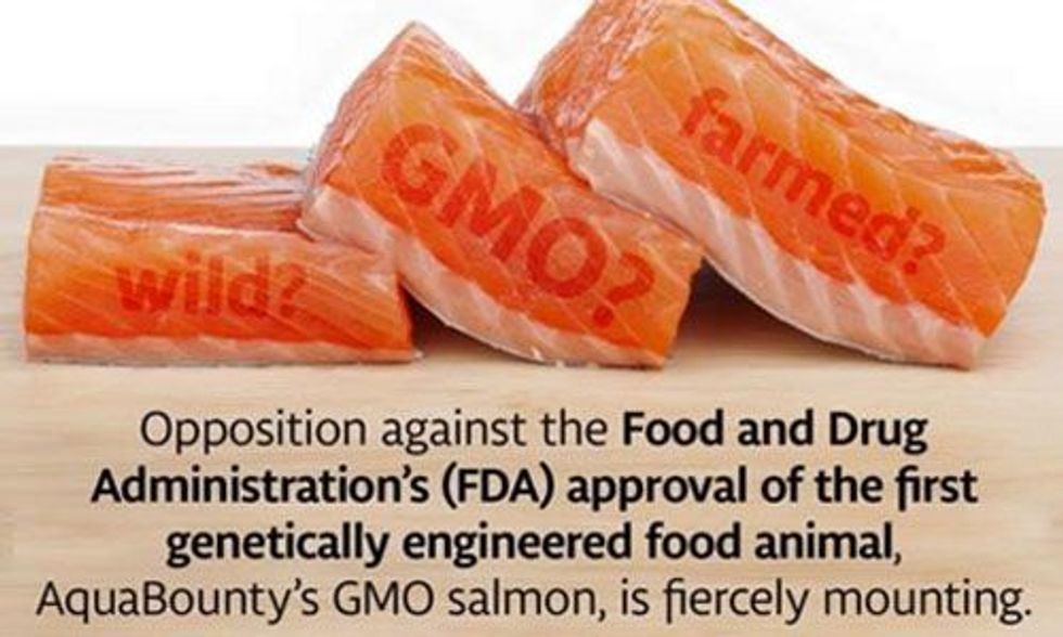 Costco and Red Lobster Say No to GMO Salmon