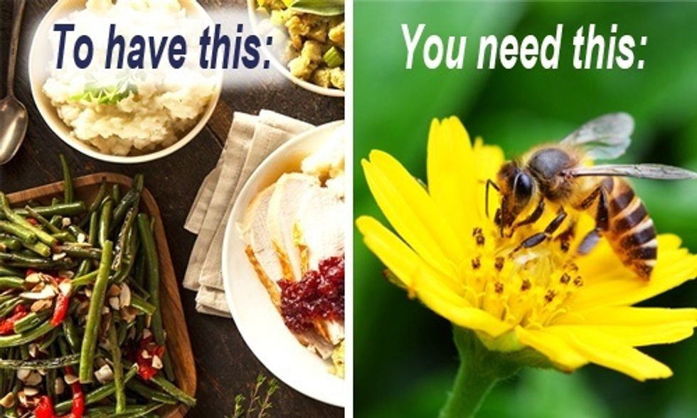 Bee Thankful This Thanksgiving: Demand Big Food Stop Killing Our Pollinators