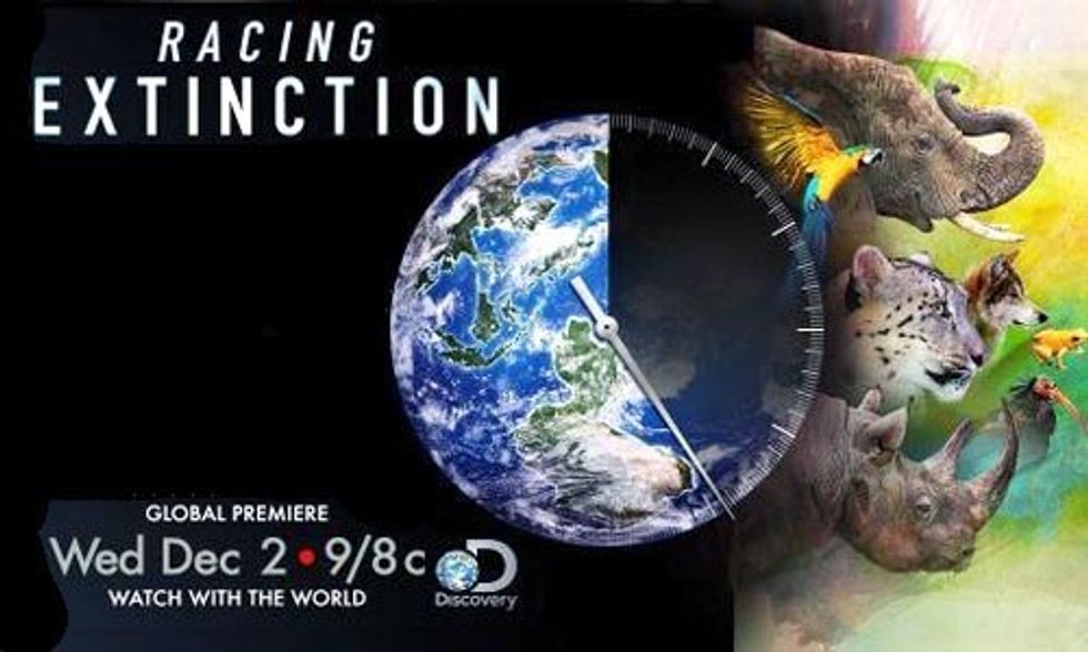 Watch the Film of the Year: Racing Extinction