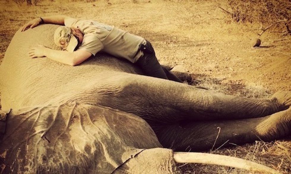 Prince Harry's Moving Photos From Africa Trip Show Brutal Reality of Poaching