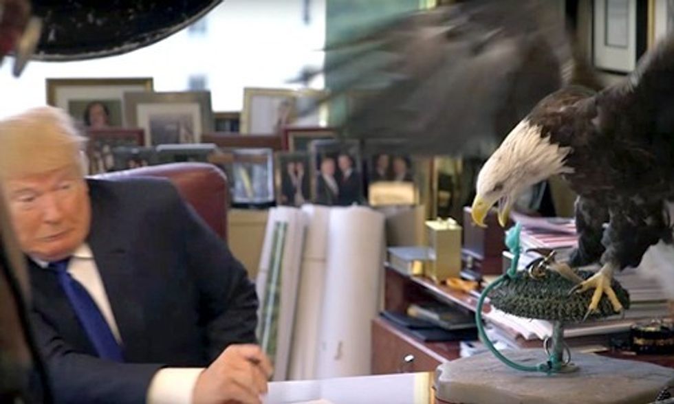 Donald Trump Attacked by Eagle Named Uncle Sam, GIF Goes Viral