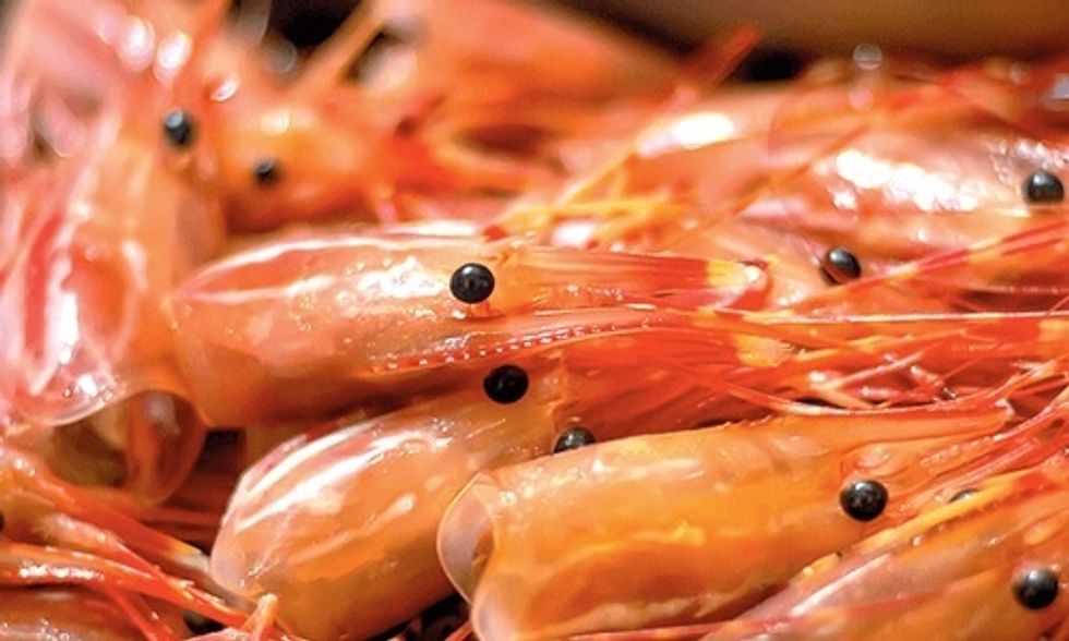 Shrimp' Made From Algae: The Latest in Fake Meat - EcoWatch Shrimp' Made From Algae: The Latest in Fake Meat - EcoWatch