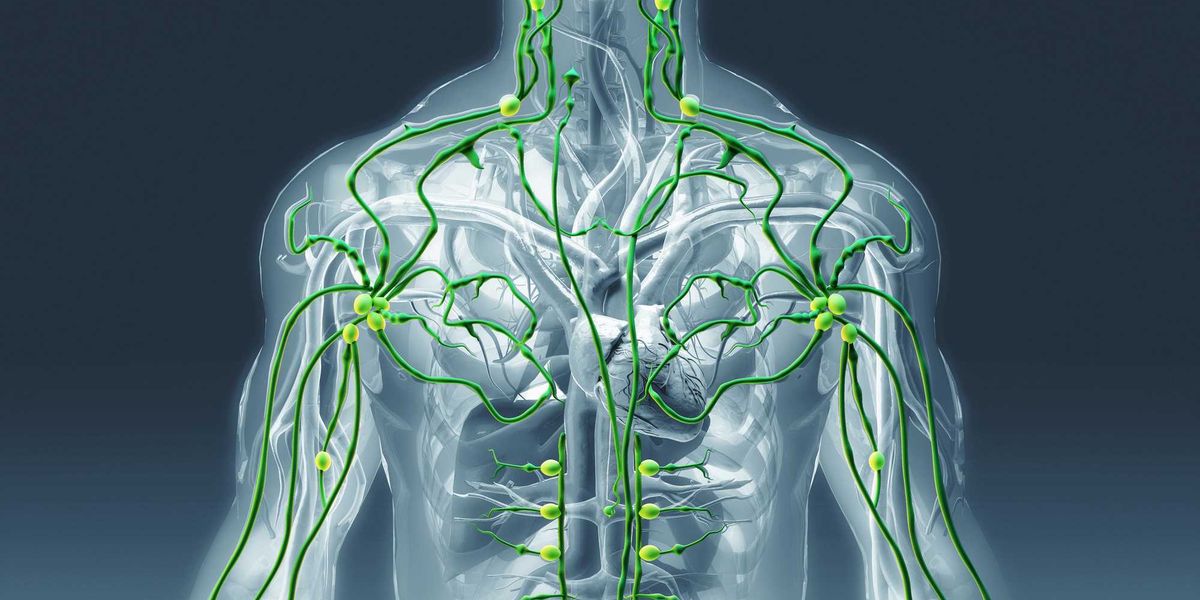 Rice SynthX Center lands M for lymphatic disease detection technology