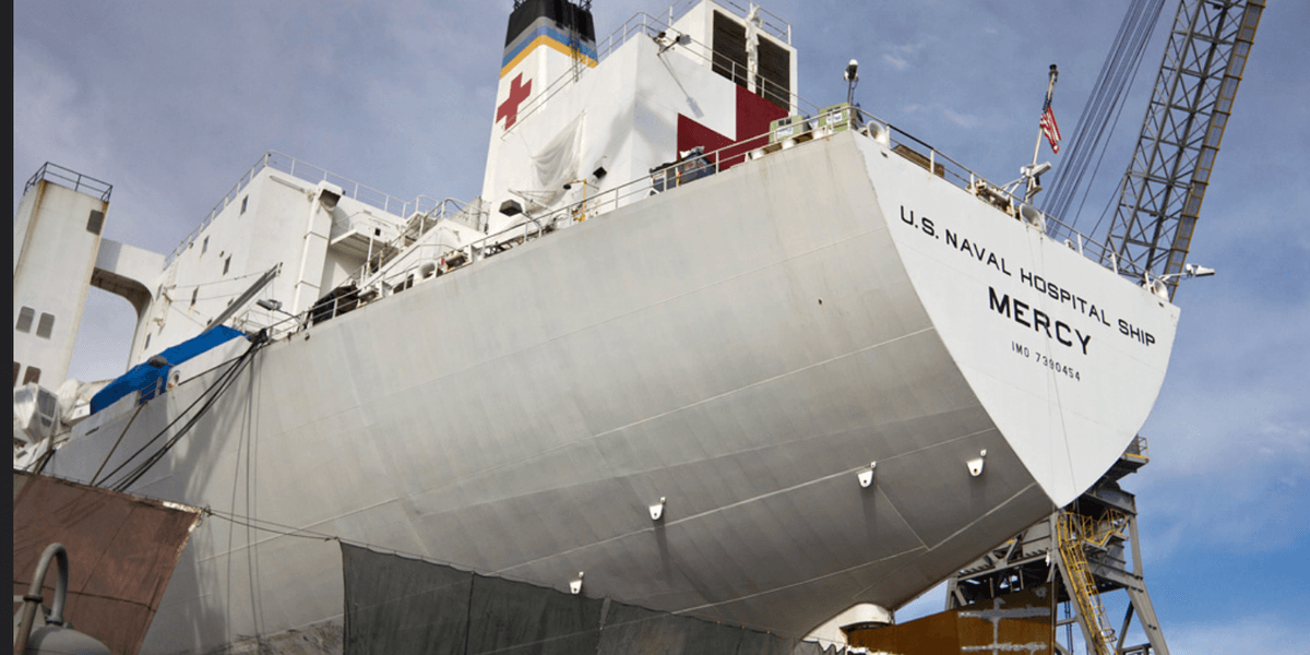 Hey Trump! Greenland Doesn't Need Our Hospital Ship, But Louisiana Surely Does