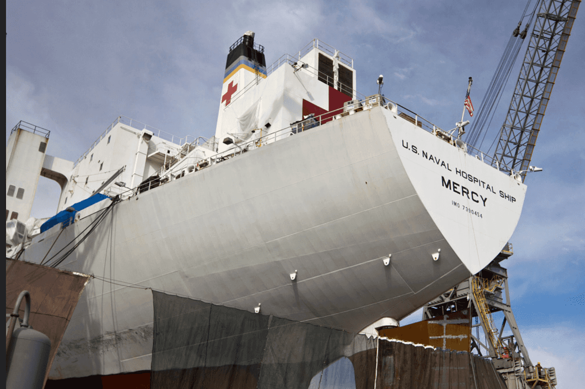 Hey Trump! Greenland Doesn't Need Our Hospital Ship, But Louisiana Surely Does